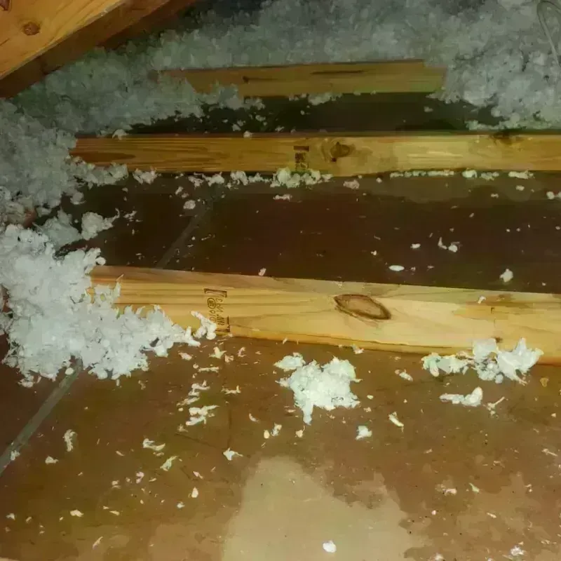 Attic Water Damage in Sunset, LA