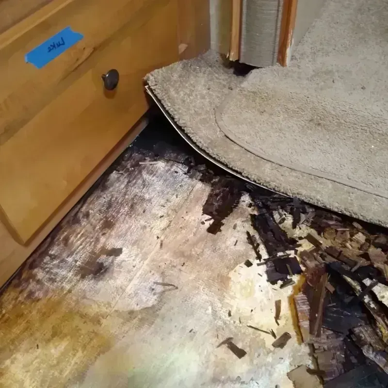 Wood Floor Water Damage in Sunset, LA